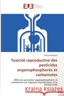 Food value of sorghum Ngoula-F 9786131533464 Editions Universitaires Europeennes