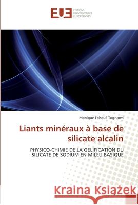 Liants minéraux à base de silicate alcalin Tohoue Tognonvi-M 9786131554858 Editions Universitaires Europeennes