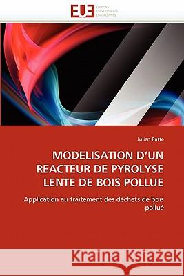 Modelisation D Un Reacteur de Pyrolyse Lente de Bois Pollue Julien Ratte 9786131565069 Editions Universitaires Europeennes