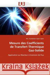Mesure Des Coefficients de Transfert Thermique Gaz-Solide Ma Guadalupe L 9786131568107 Editions Universitaires Europeennes