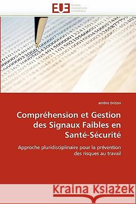 Compréhension Et Gestion Des Signaux Faibles En Santé-Sécurité Brizon-A 9786131572395 Editions Universitaires Europeennes