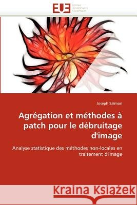 Agrégation Et Méthodes À Patch Pour Le Débruitage d'Image Salmon-J 9786131592751