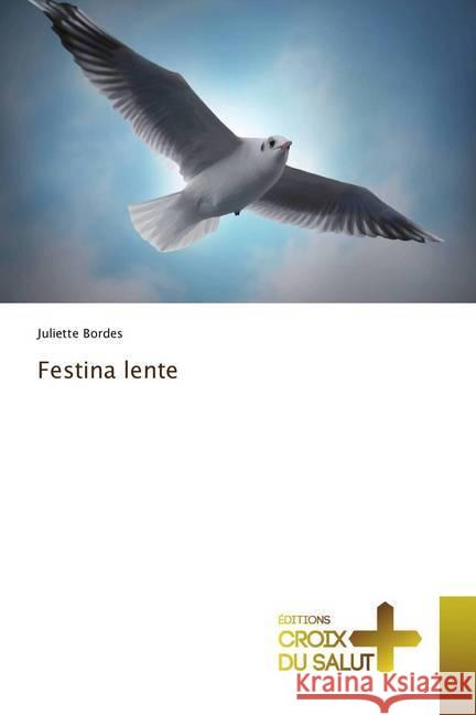 Festina lente Bordes, Juliette 9786137364123