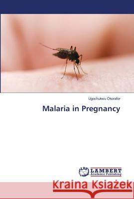 Malaria in Pregnancy Okorafor, Ugochukwu 9786137376850 LAP Lambert Academic Publishing
