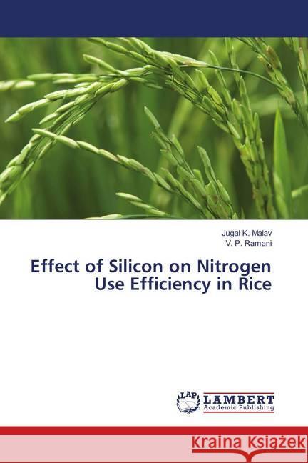 Effect of Silicon on Nitrogen Use Efficiency in Rice Malav, Jugal K.; Ramani, V. P. 9786138236894 LAP Lambert Academic Publishing