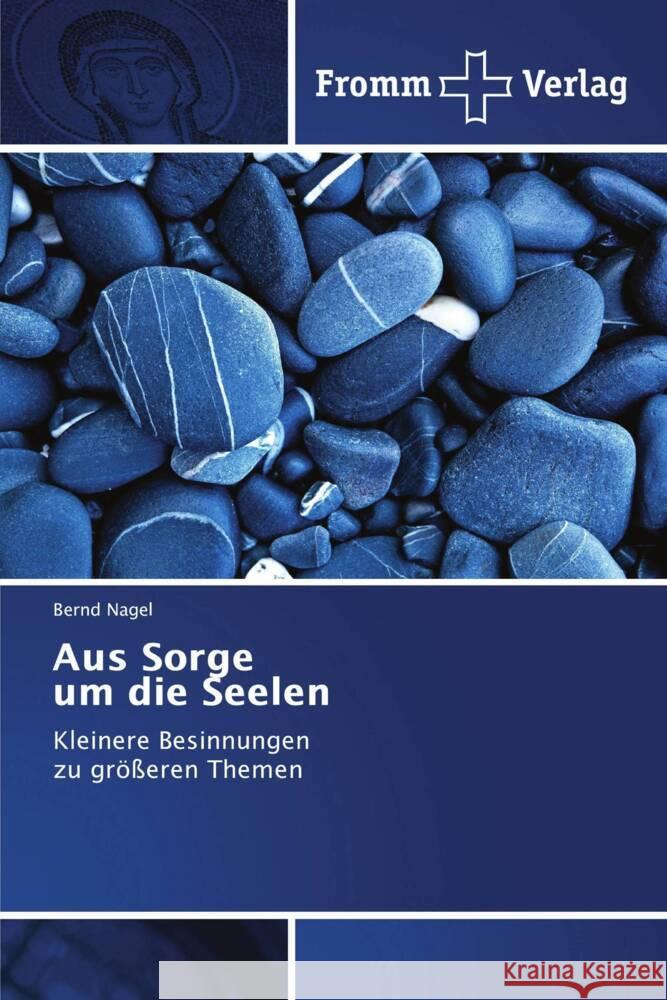 Aus Sorge um die Seelen Nagel, Bernd 9786138376378
