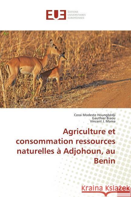 Agriculture et consommation ressources naturelles à Adjohoun, au Benin Houngbédji, Cossi Modeste; Biaou, Gauthier; Mama, Vincent J. 9786138411413