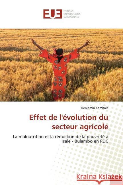Effet de l'évolution du secteur agricole : La malnutrition et la réduction de la pauvreté à Isale - Bulambo en RDC Kambale, Benjamin 9786138414605