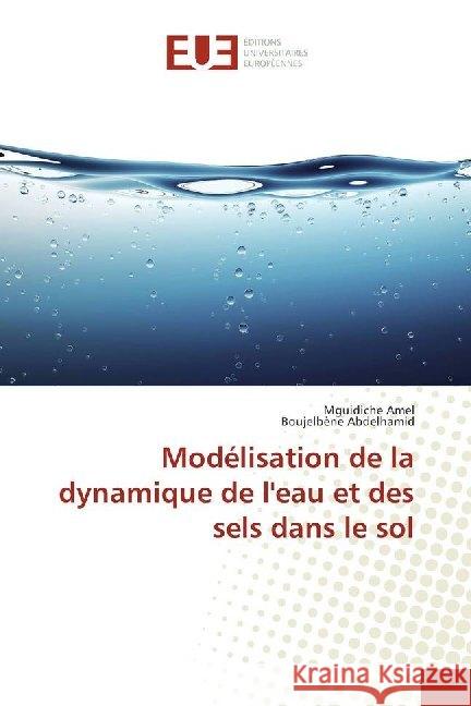 Modélisation de la dynamique de l'eau et des sels dans le sol Amel, Mguidiche; Abdelhamid, Boujelbène 9786138415831