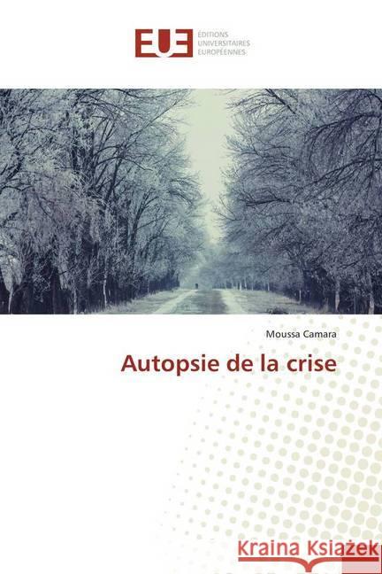 Autopsie de la crise Camara, Moussa 9786138428749