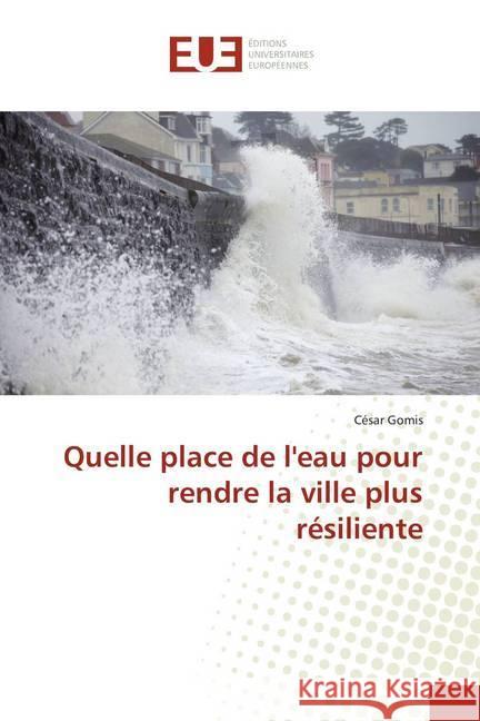 Quelle place de l'eau pour rendre la ville plus résiliente Gomis, César 9786138430421