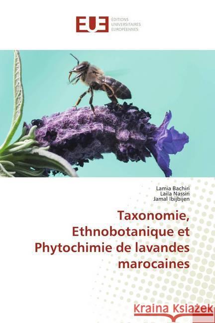 Taxonomie, Ethnobotanique et Phytochimie de lavandes marocaines Bachiri, Lamia; Nassiri, Laila; Ibijbijen, Jamal 9786138475354