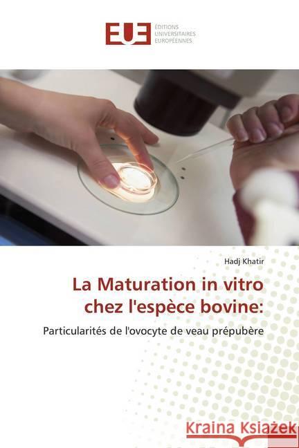 La Maturation in vitro chez l'espèce bovine: : Particularités de l'ovocyte de veau prépubère Khatir, Hadj 9786138478959