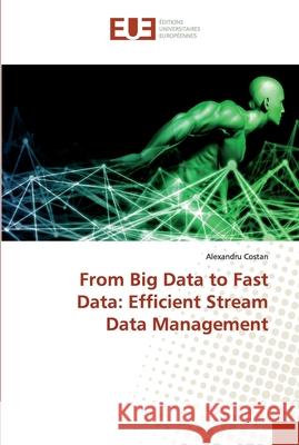 From Big Data to Fast Data: Efficient Stream Data Management Costan, Alexandru 9786138485148 Éditions universitaires européennes