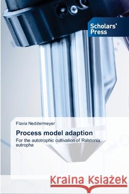 Process model adaption Flavia Neddermeyer 9786138940623