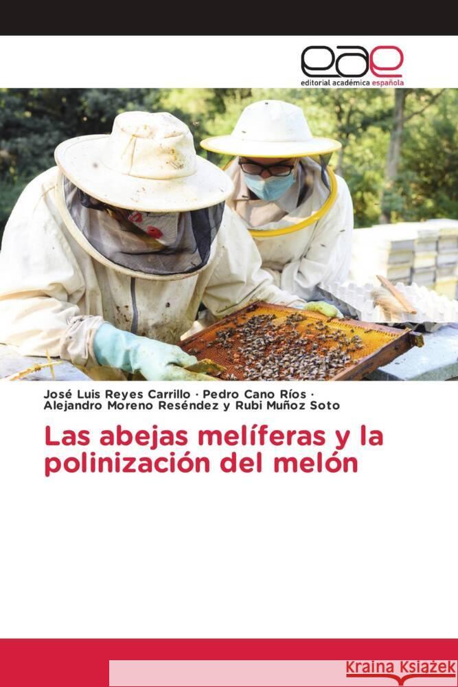 Las abejas melíferas y la polinización del melón Reyes Carrillo, José Luis, Cano Ríos, Pedro, Rubi Muñoz Soto, Alejandro Moreno Reséndez y 9786138976943