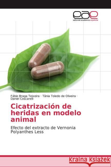 Cicatrización de heridas en modelo animal : Efecto del extracto de Vernonia Polyanthes Less Teixeira, Fábio Braga; de Oliveira, Tânia Toledo; Coscarelli, Daniel 9786138983279