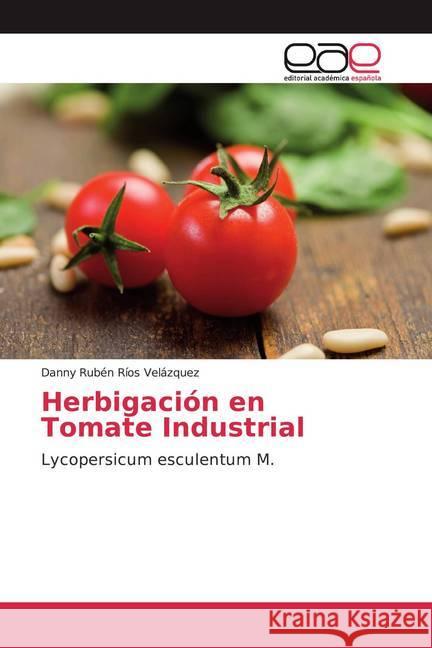 Herbigación en Tomate Industrial : Lycopersicum esculentum M. Ríos Velázquez, Danny Rubén 9786138992202 Editorial Académica Española