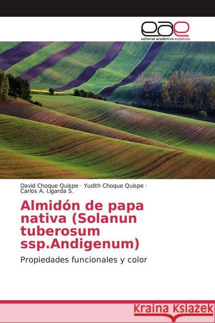Almidón de papa nativa (Solanun tuberosum ssp.Andigenum) : Propiedades funcionales y color Choque Quispe, David; Choque Quispe, Yudith; Ligarda S., Carlos A. 9786139059591