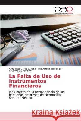 La Falta de Uso de Instrumentos Financieros García Cañedo, Alma Iliana 9786139400058 Editorial Académica Española