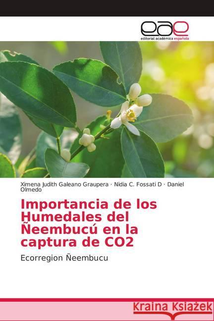 Importancia de los Humedales del Ñeembucú en la captura de CO2 : Ecorregion Ñeembucu Galeano Graupera, Ximena Judith; Fossati D, Nidia C.; Olmedo, Daniel 9786139407170