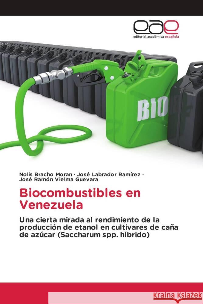 Biocombustibles en Venezuela Bracho Moran, Nolis, Labrador Ramírez, José, Vielma Guevara, José Ramón 9786139432660