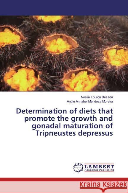 Determination of diets that promote the growth and gonadal maturation of Tripneustes depressus Tourón Besada, Noelia; Mendoza Moreira, Angie Annabel 9786139457328