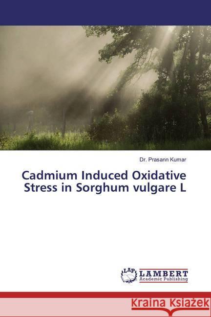 Cadmium Induced Oxidative Stress in Sorghum vulgare L Kumar, Prasann 9786139462087 LAP Lambert Academic Publishing