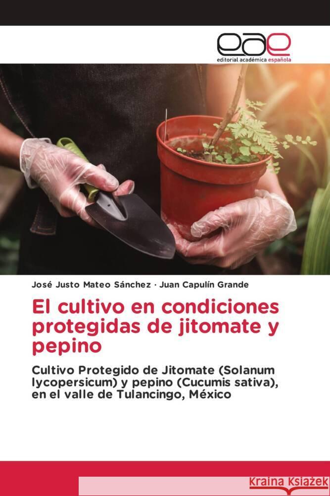 El cultivo en condiciones protegidas de jitomate y pepino Mateo Sánchez, José Justo, Capulín Grande, Juan 9786139465729