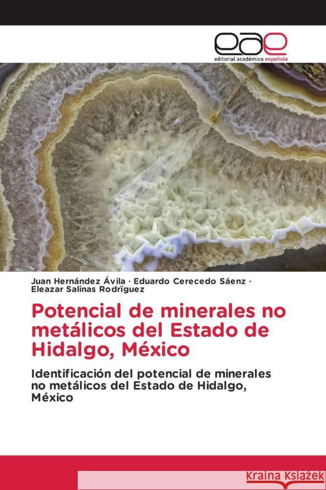 Potencial de minerales no metálicos del Estado de Hidalgo, México Hernández Ávila, Juan, Cerecedo Sáenz, Eduardo, Salinas Rodríguez, Eleazar 9786139466627 Editorial Académica Española