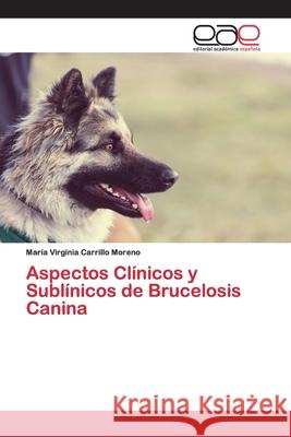 Aspectos Clínicos y Sublínicos de Brucelosis Canina Carrillo Moreno, María Virginia 9786139468751 Editorial Academica Espanola
