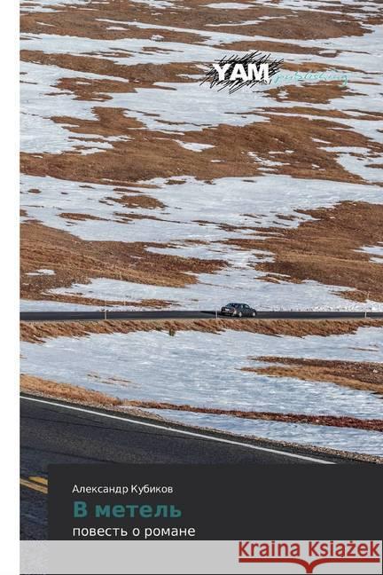 V metel' : powest' o romane Kubikow, Alexandr 9786139470273 YAM Young Authors Masterpieces Publishing
