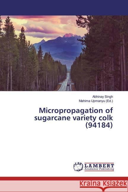 Micropropagation of sugarcane variety colk (94184) Singh, Abhinay 9786139474301 LAP Lambert Academic Publishing