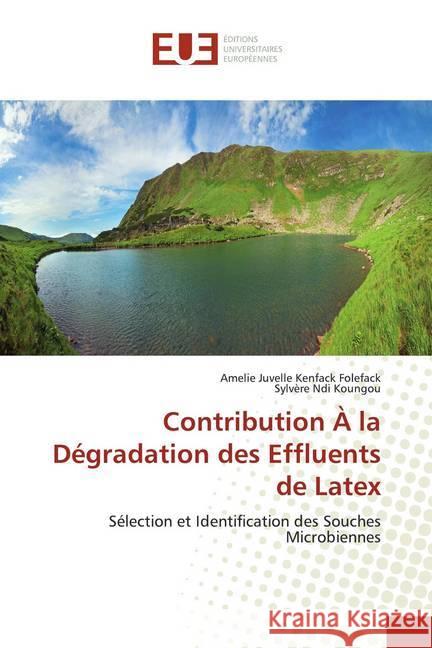 Contribution À la Dégradation des Effluents de Latex : Sélection et Identification des Souches Microbiennes Kenfack Folefack, Amelie Juvelle; Ndi Koungou, Sylvère 9786139503018