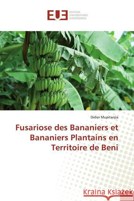 Fusariose des Bananiers et Bananiers Plantains en Territoire de Beni Mupitanjia, Didier 9786139508822