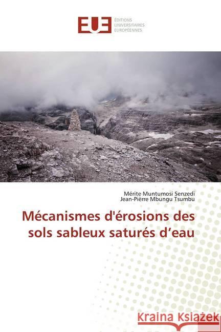 Mécanismes d'érosions des sols sableux saturés d'eau Muntumosi Senzedi, Mérite; Mbungu Tsumbu, Jean-Pierre 9786139518067 Éditions universitaires européennes