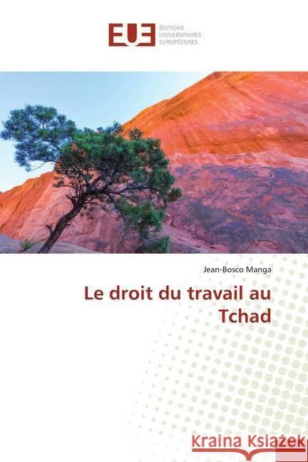 Le droit du travail au Tchad Manga, Jean-Bosco 9786139518234