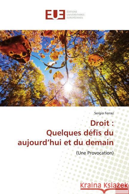 Droit : Quelques défis du aujourd'hui et du demain : (Une Provocation) Ferraz, Sergio 9786139526499