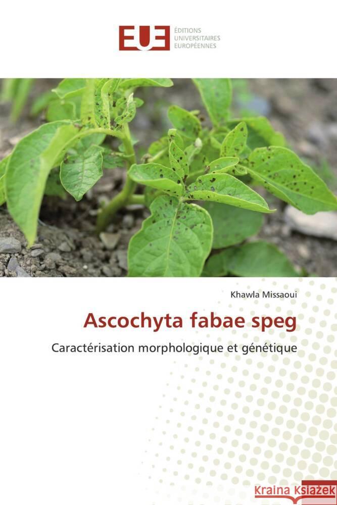 Ascochyta fabae speg Missaoui, Khawla 9786139532131