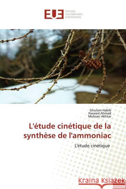 L'étude cinétique de la synthèse de l'ammoniac : L'étude cinétique Habib, Ghulam; Ahmad, Naveed; Akhtar, Mohsan 9786139534449