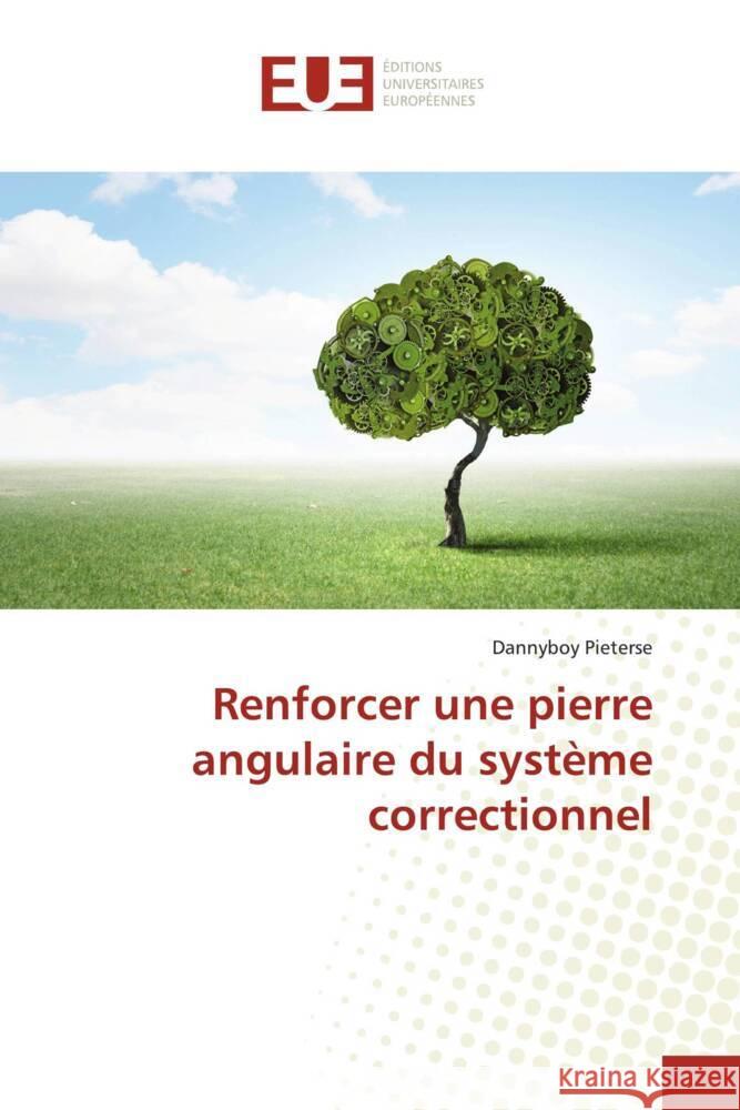 Renforcer une pierre angulaire du système correctionnel Pieterse, Dannyboy 9786139535026