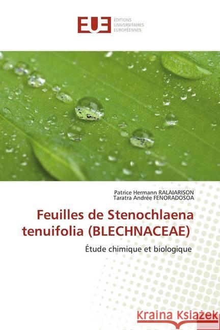 Feuilles de Stenochlaena tenuifolia (BLECHNACEAE) : Étude chimique et biologique RALAIARISON, Patrice Hermann; Fenoradosoa, Taratra Andrée 9786139546428 Éditions universitaires européennes