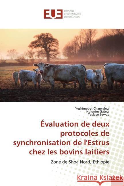 Évaluation de deux protocoles de synchronisation de l'Estrus chez les bovins laitiers : Zone de Shoa Nord, Ethiopie Chanyalew, Yeshimebet; Gatew, Hulunim; Zewde, Tesfaye 9786139551514 Éditions universitaires européennes