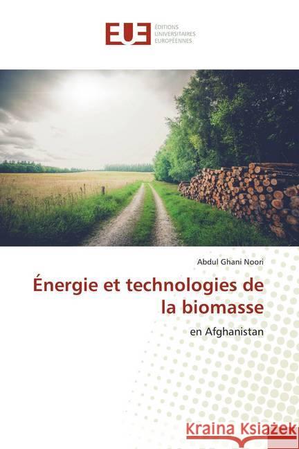 Énergie et technologies de la biomasse : en Afghanistan Noori, Abdul Ghani 9786139555802