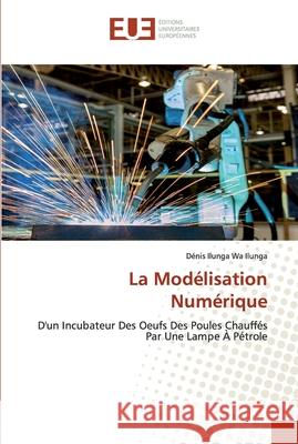 La Modélisation Numérique Ilunga Wa Ilunga, Dénis 9786139565306 Éditions universitaires européennes