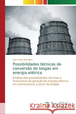 Possibilidades técnicas de conversão do biogás em energia elétrica Brondani, José Carlos 9786139609826