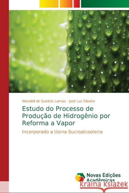 Estudo do Processo de Produção de Hidrogênio por Reforma a Vapor Jose Luz Silveira 9786139612482