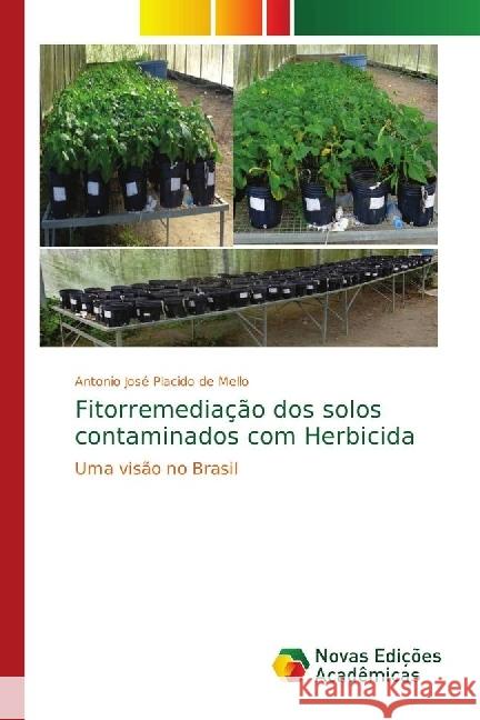 Fitorremediação dos solos contaminados com Herbicida : Uma visão no Brasil de Mello, Antonio José Placido 9786139685417