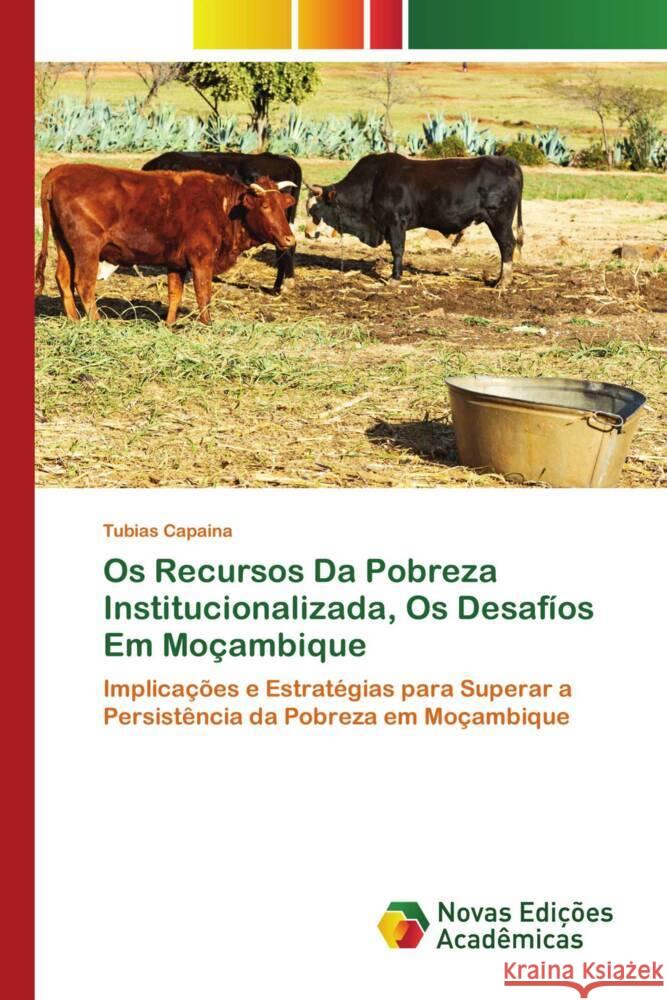 Os Recursos Da Pobreza Institucionalizada, Os Desafíos Em Moçambique Capaina, Tubias 9786139686643 Novas Edições Acadêmicas