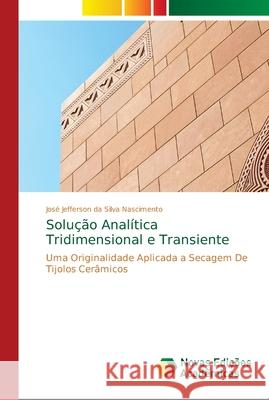 Solução Analítica Tridimensional e Transiente Silva Nascimento, José Jefferson Da 9786139690114 Novas Edicioes Academicas